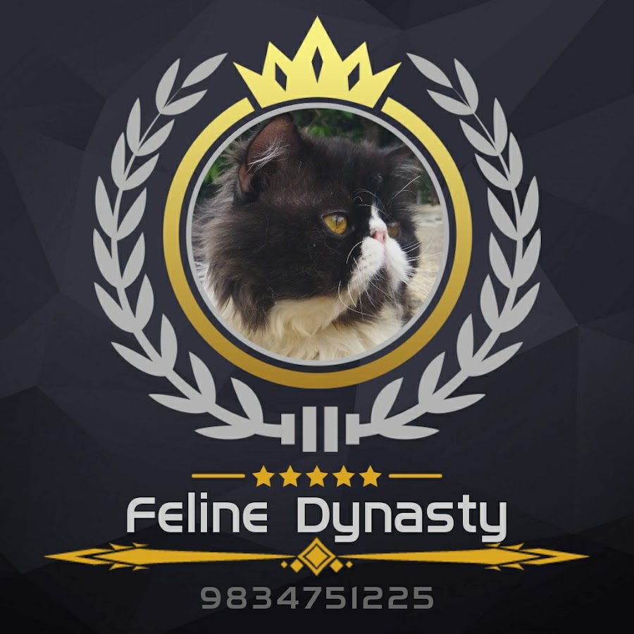 Feline Dynasty