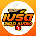 เบิร์ดออดิโอ | BIRD AUDIO