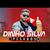 logo Dinho Silva Pesados