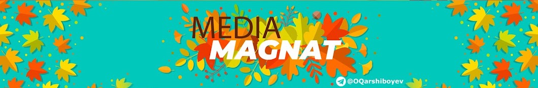 Media Magnat