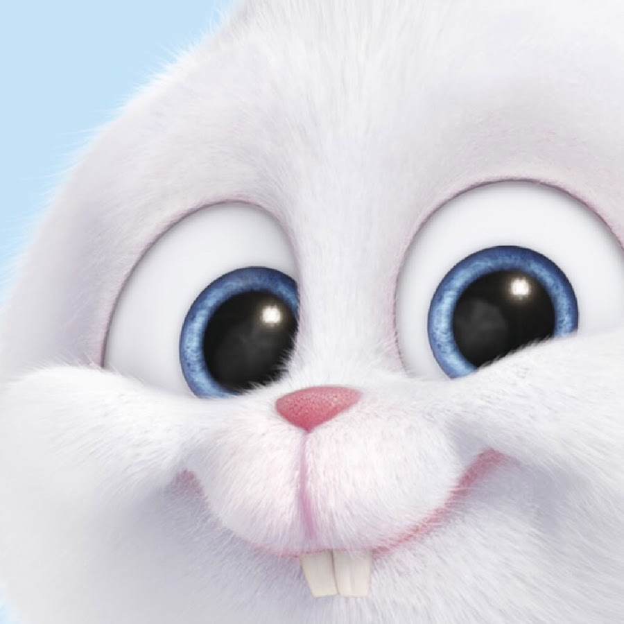 Заяц из тайной жизни домашних. Тайная жизнь домашних животных заяц снежок. Кролик снежок. Зайчик из мультика Тайная жизнь. Зайка снежок.