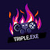 logo TRIPLE EXE