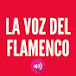 LA VOZ DEL FLAMENCO 