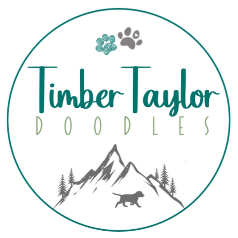 Timber Taylor Doodles