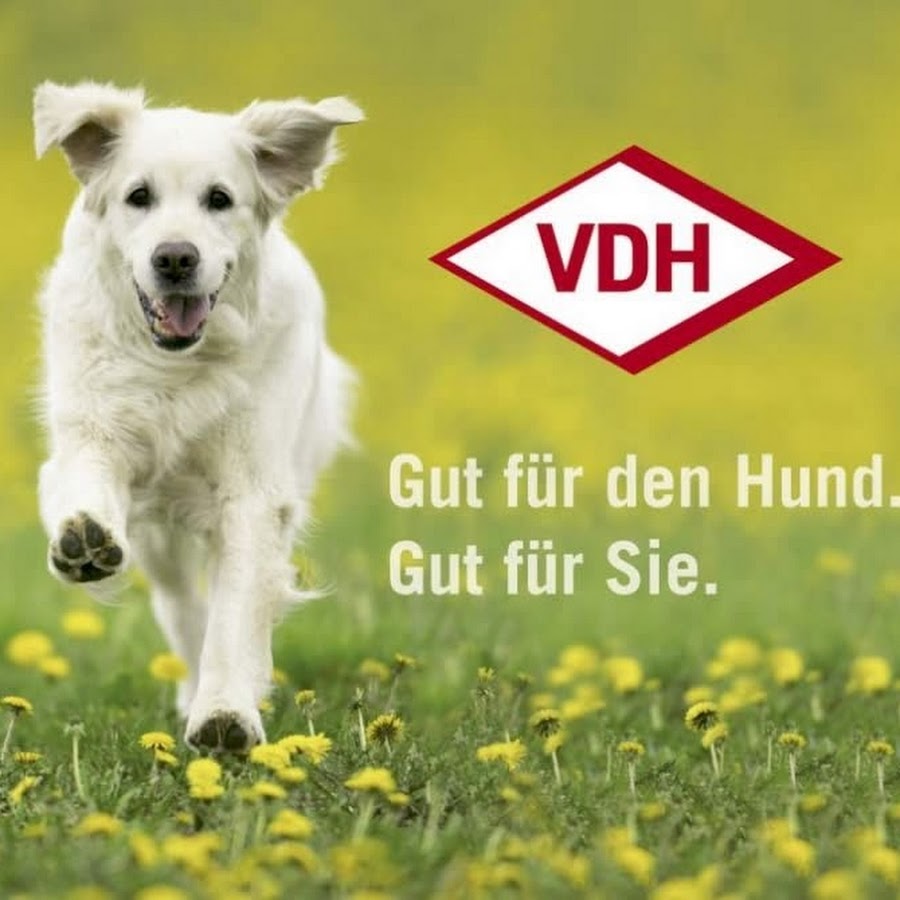 Verband für das Deutsche Hundewesen - VDH e.V.