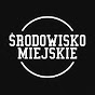 Środowisko Miejskie