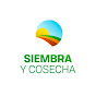 SiembrayCosecha Tv