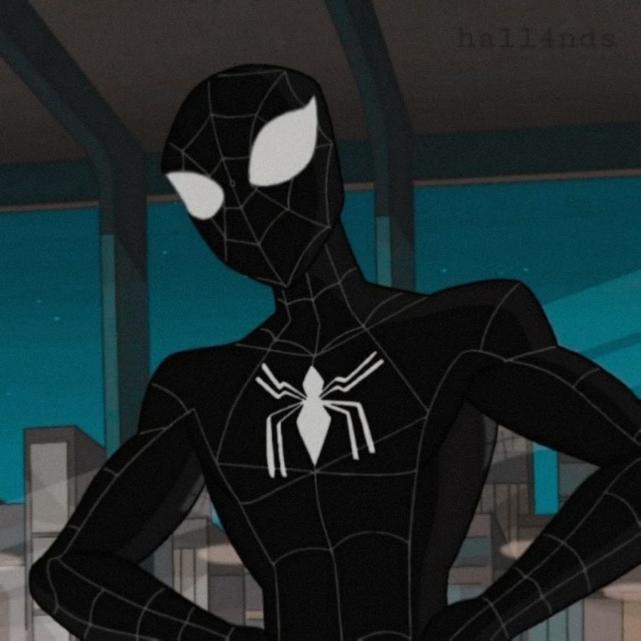 Spectacular Spider man Symbiote Suit Black icon Suit