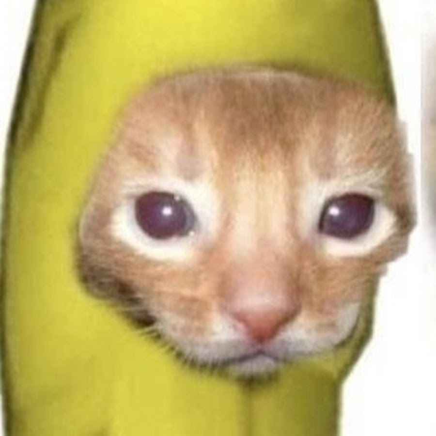 Плачущий банан мем. Кот в костюме банана. Кот в костюме банана Мем. Котёнок в костюме бонана. Плачущий котик в костюме банана.