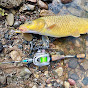 Light Tackle Lure Angling