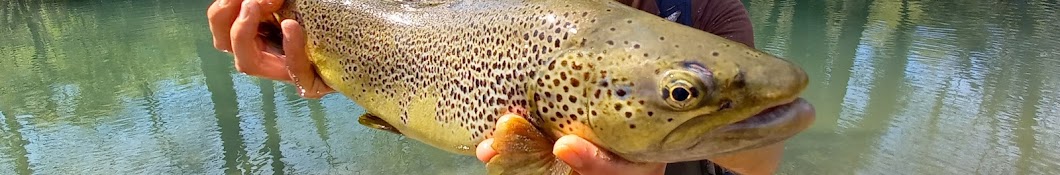 Fédération Départementale de Pêche de l'Ain