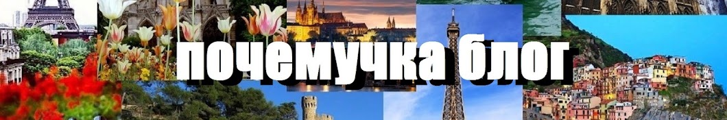 Почемучка Блог Интересные факты обо всем