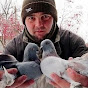 Diary of my pigeons