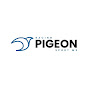 RACING PIGEON SPORT MX (RPSMX)