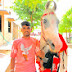 barli horse farm (sunil yogi barli)