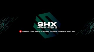 Crypto Sheinix youtube banner