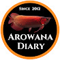 arowana diary【龍魚日記】