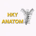 HKY ANATOMY