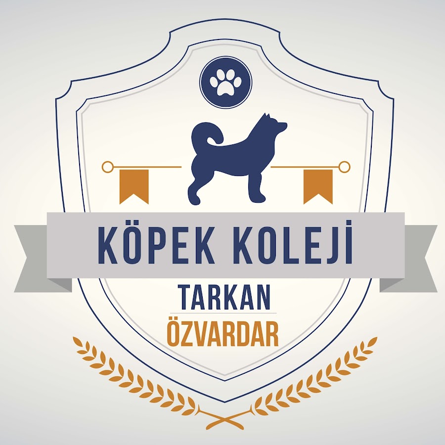 Dog School @KopekKoleji