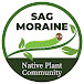 Sag Moraine Native Plant Community