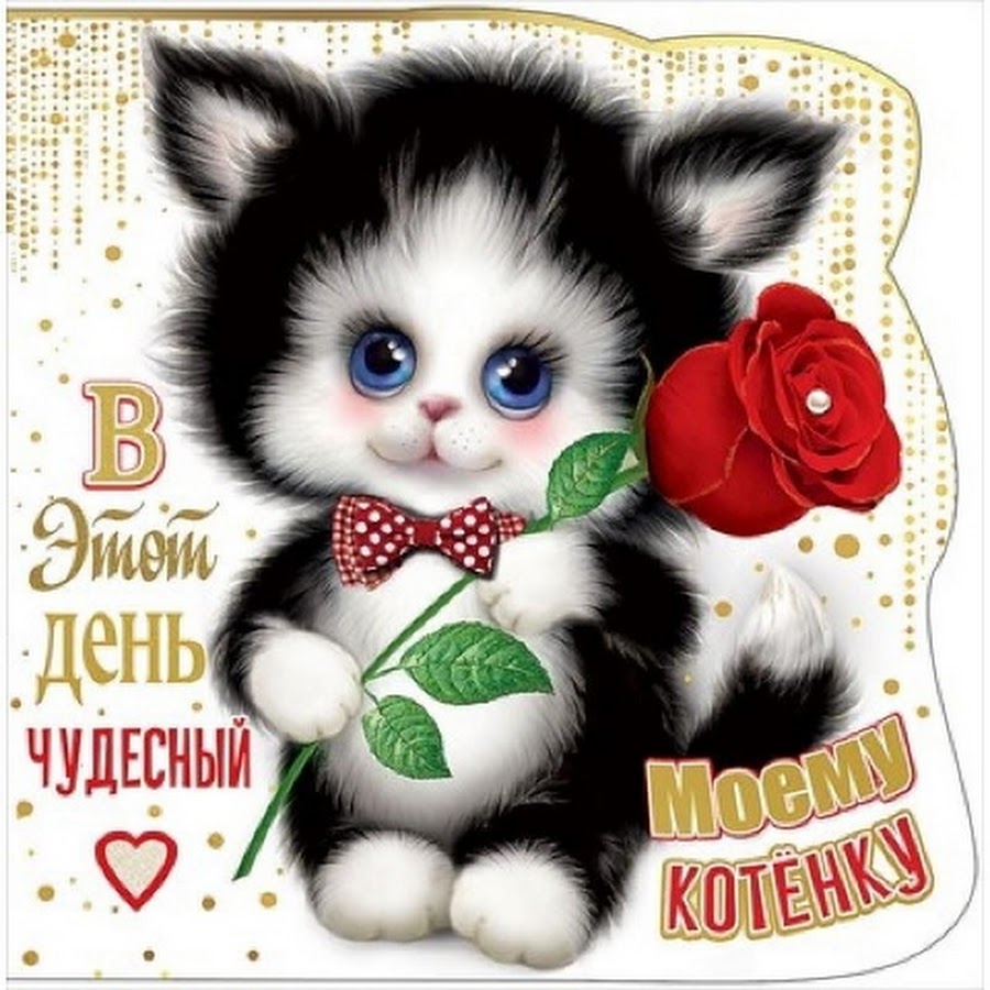 Открытка моему котенку