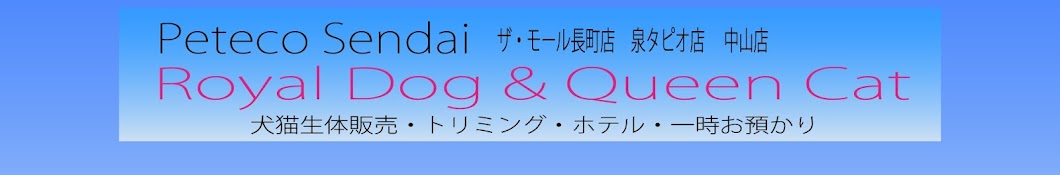 ペット エコ 販売 仙台 犬 猫 生体