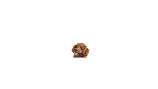 배너 이미지