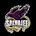 logo Salvajee