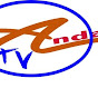 anndal tv