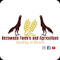 Bezawada Farm's and Agriculture