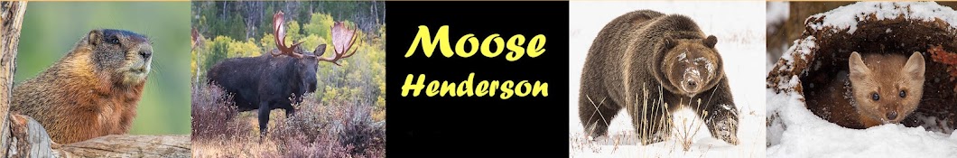 MooseVilla Off-Grid with Moose Henderson Banner