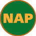 NAP -半年で変わりたい方必見-