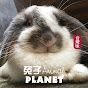 Animal Planet 兔子 youtube avatar