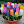 VGH06 avatar