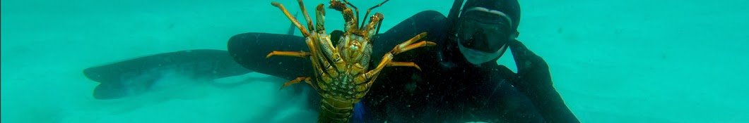 Tassie Freedivers