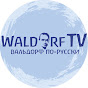 WaldorfTV