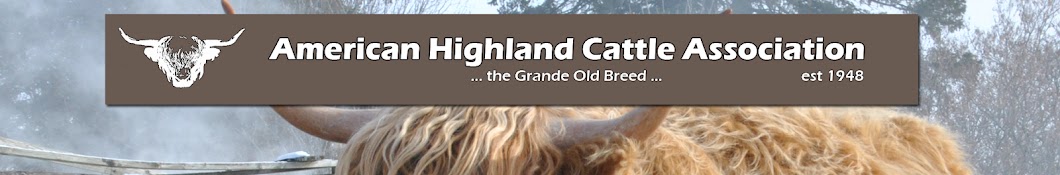American Highland Cattle Association celebrates 75th anniversary - High  Plains Journal