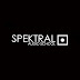 SPEKTRAL AUDIO SCHOOL