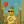 mr.pineapple avatar