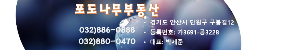 포도나무 부동산TV