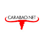 CARABAO DOTNET