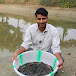 Gaurav Fisheries and Aquaculture