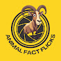 ANIMAL FACT FLICKS