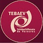 TEBAEV VIDEOS EDUCATIVOS