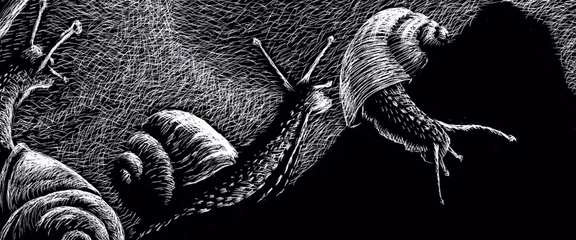 Artist Thumbnail
