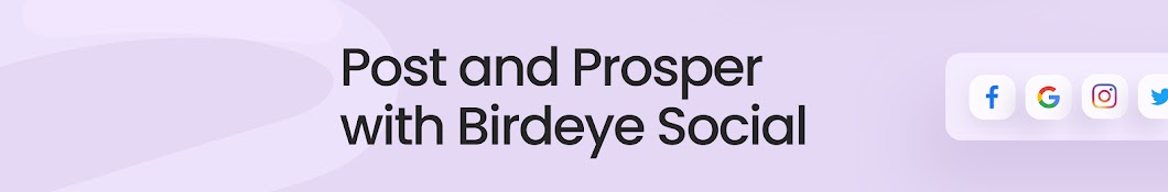 Birdeye Banner