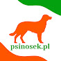 Psinosek