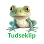 Tudseklip