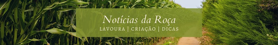 Notícias da Roça