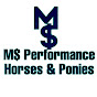 M Money Performance Horses & Ponies